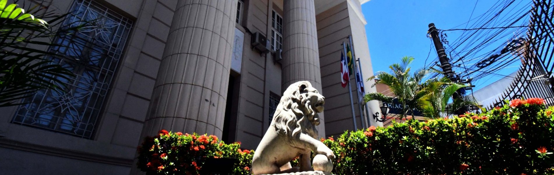 [OAB-BA repudia decisão que absolveu homem de 35 anos por estupro de vulnerável contra menina de 12 anos]