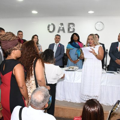 [Posse da Comissão Especial de Promoção da Igualdade Racial]